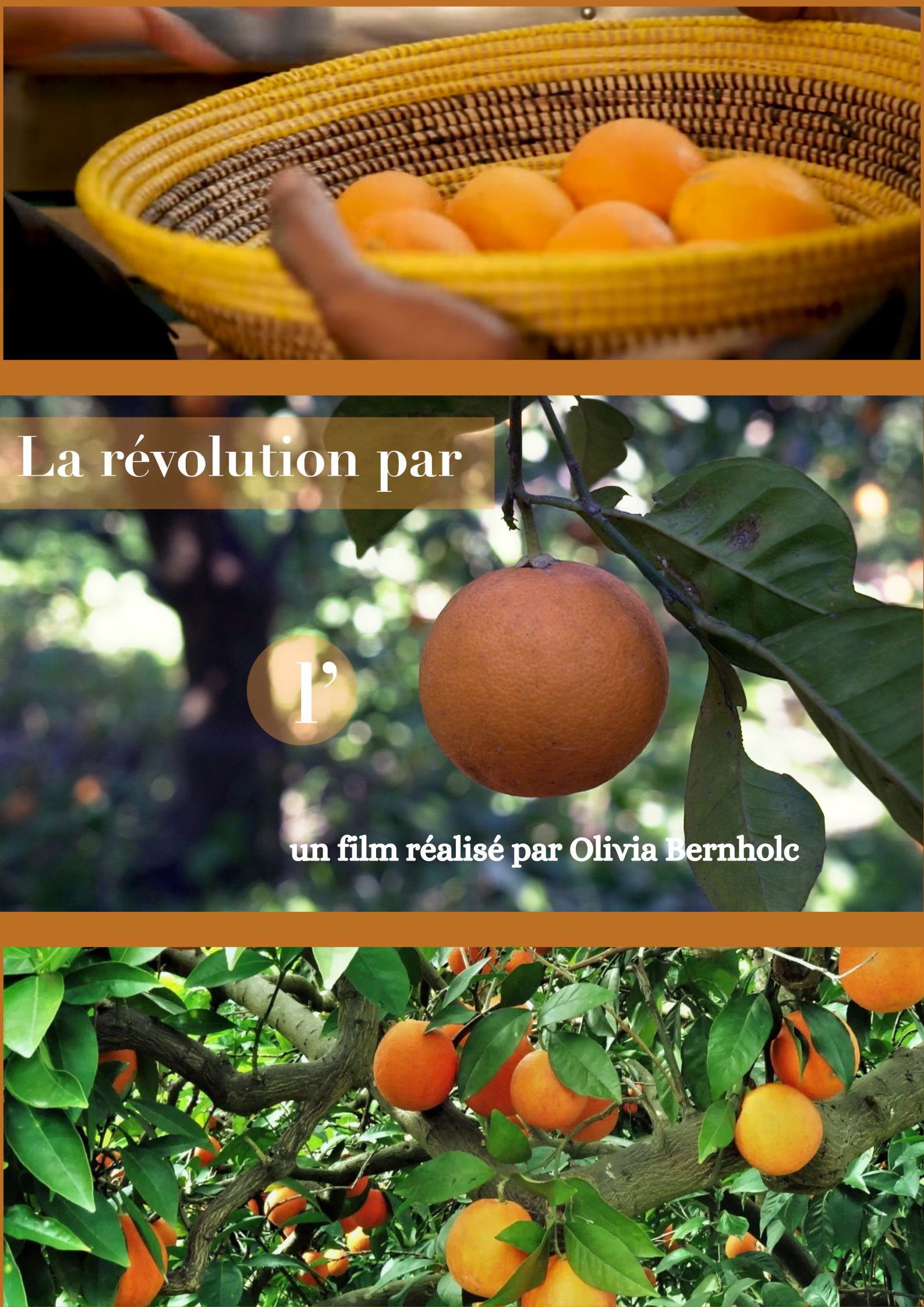 poster de La révolution par l'orange