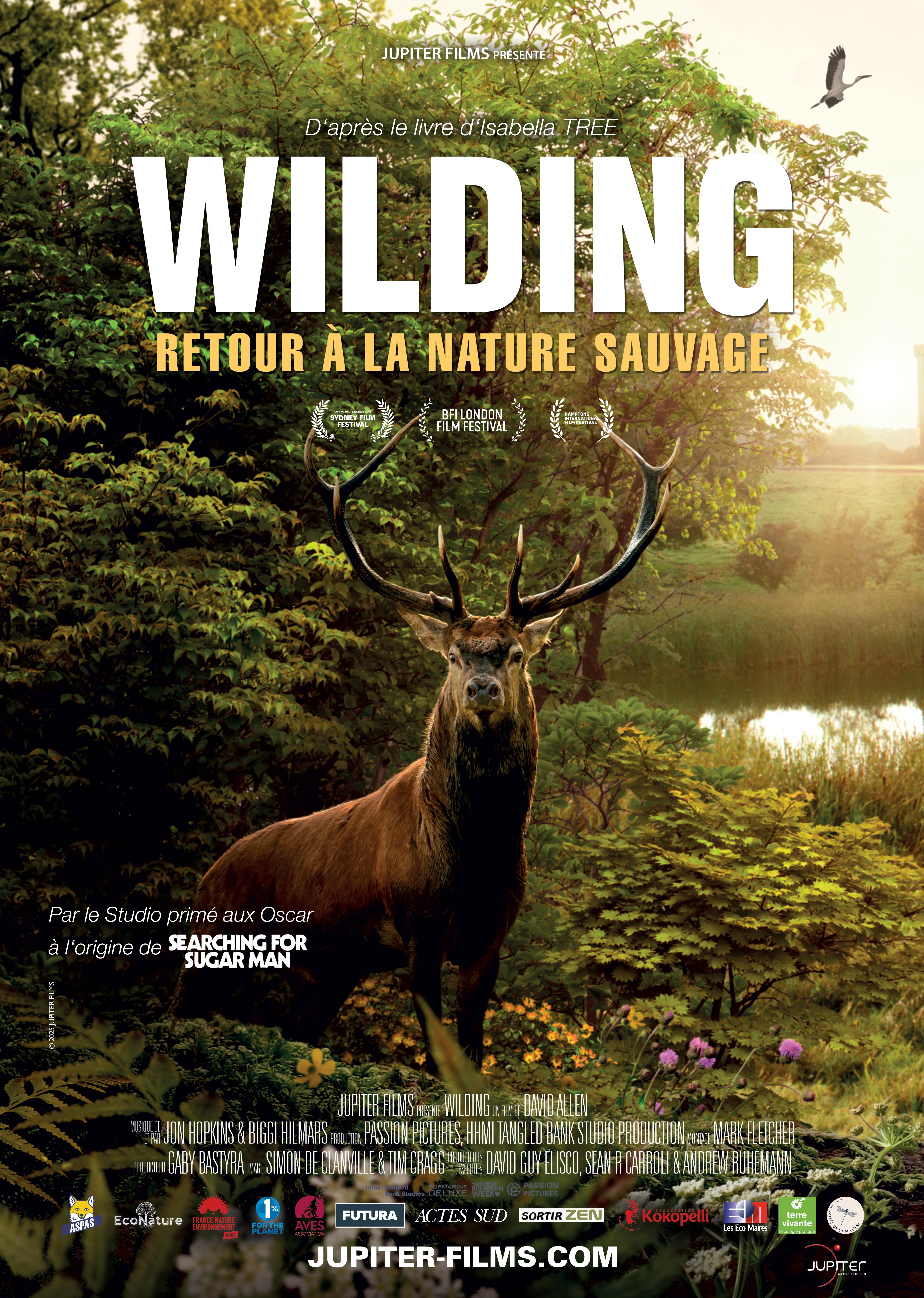 poster de Wilding retour à la nature sauvage
